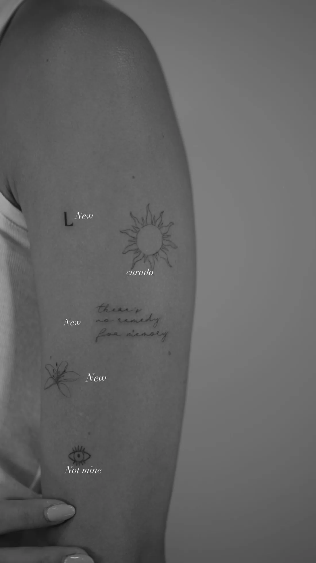Verheiltes Fine Line Tattoo — Sinkply Zürich
