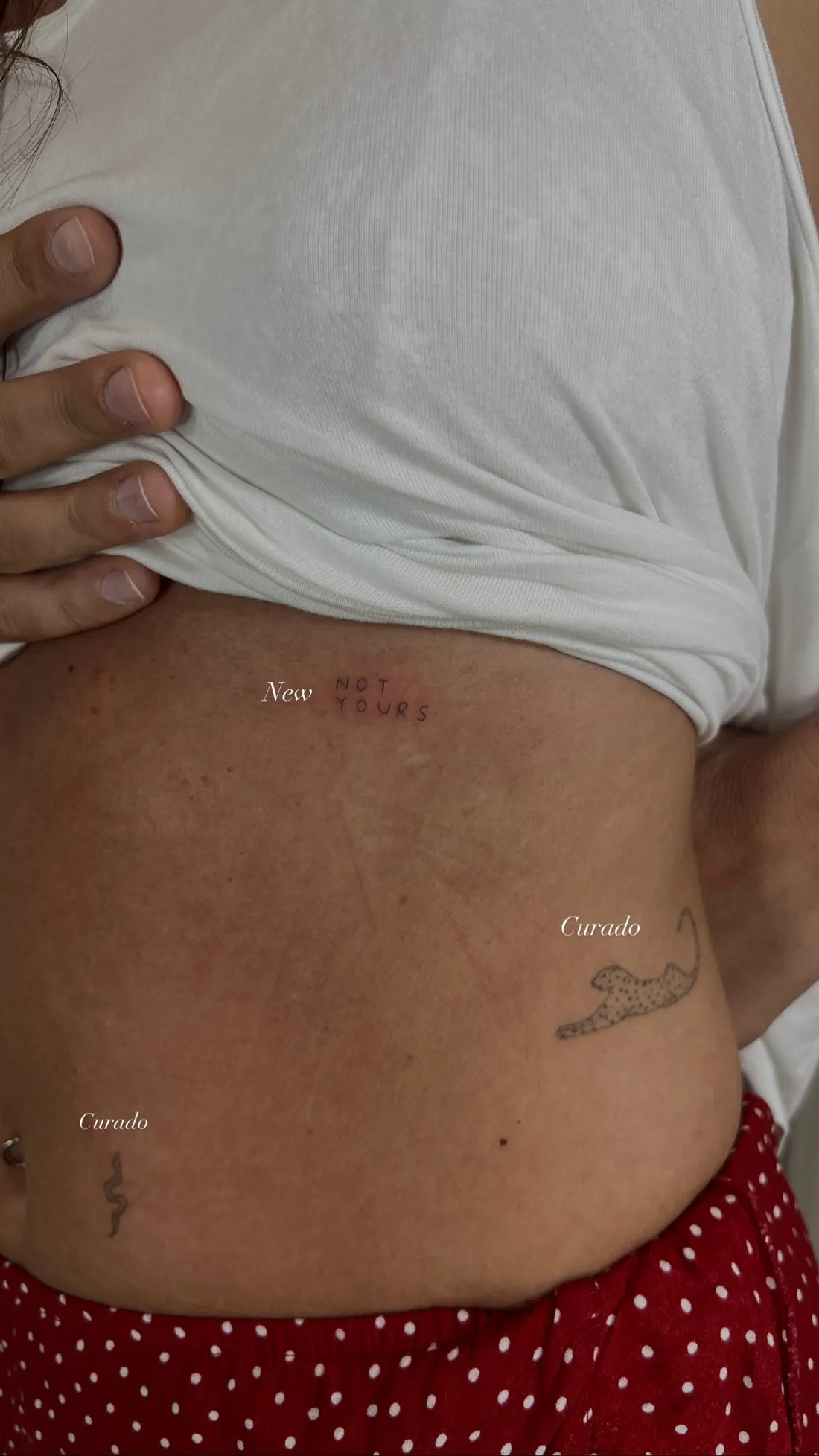 Verheiltes Fine Line Tattoo — Sinkply Zürich