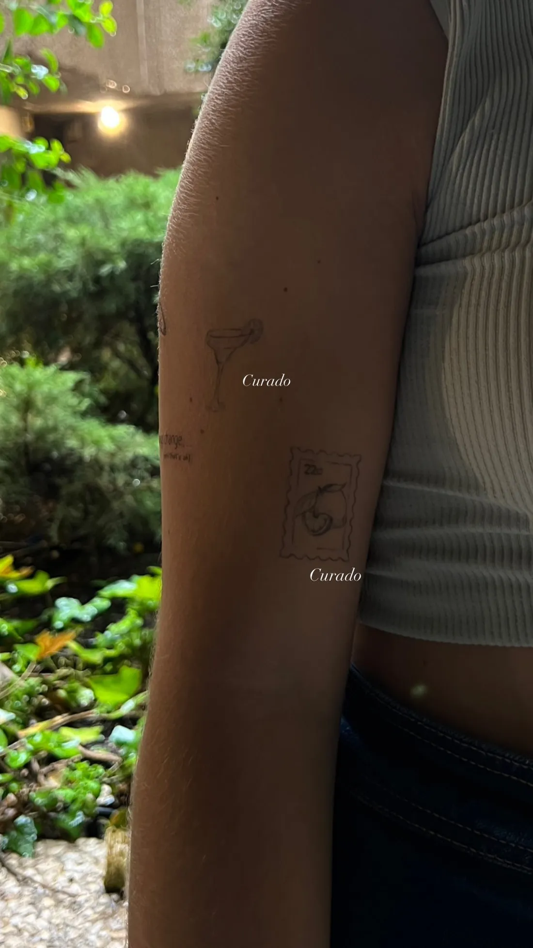 Verheiltes Fine Line Tattoo — Sinkply Zürich
