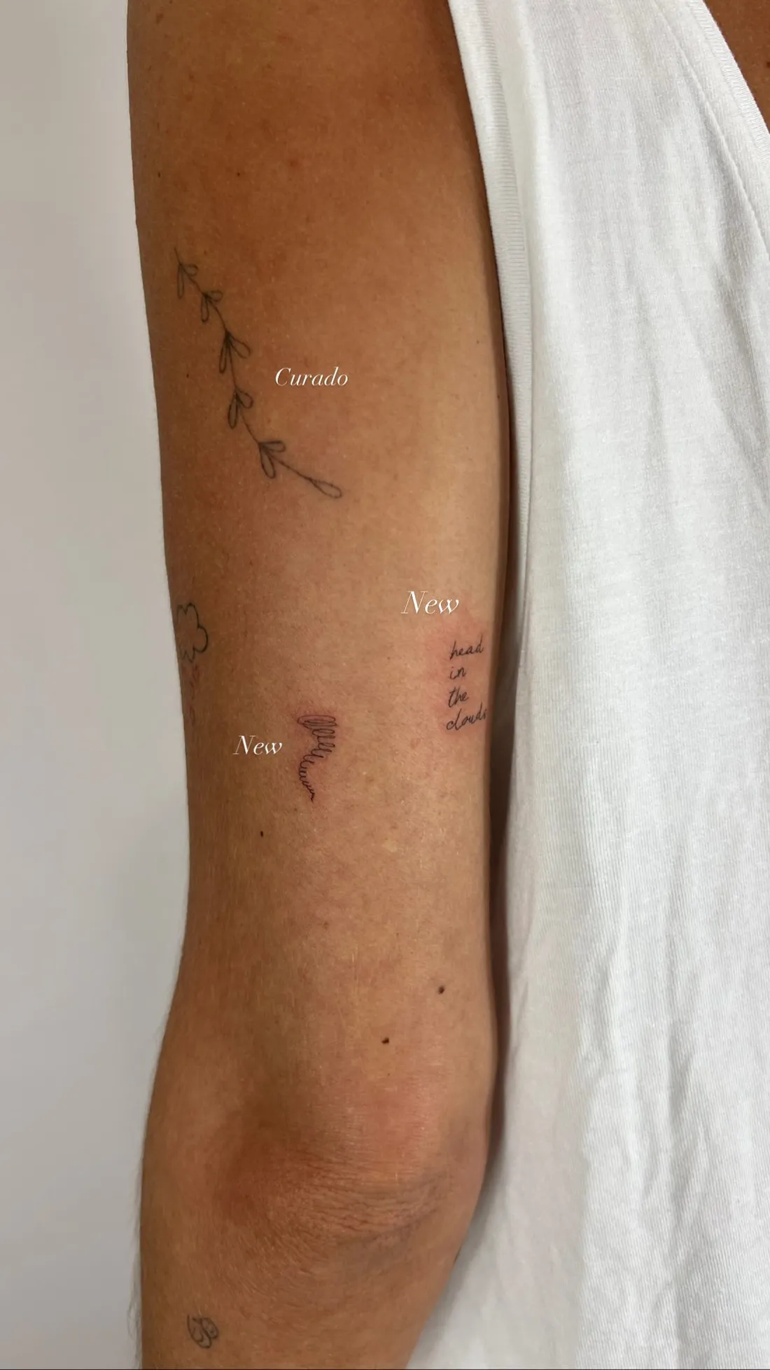Verheiltes Fine Line Tattoo — Sinkply Zürich