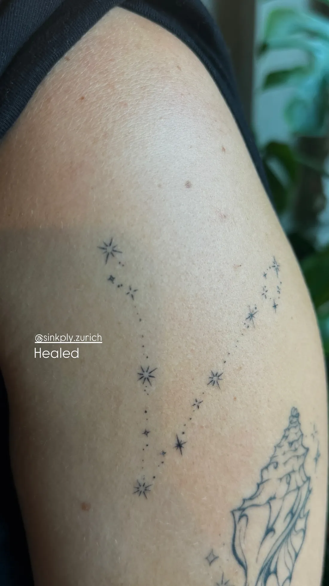 Verheiltes Fine Line Tattoo — Sinkply Zürich