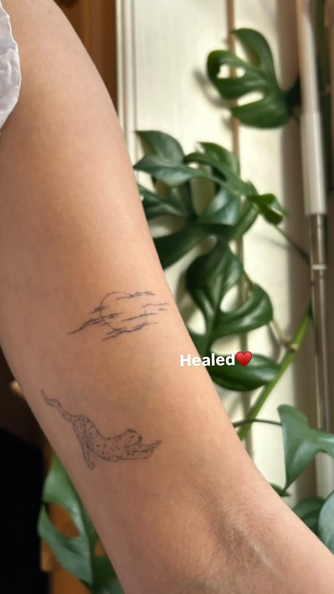 Verheiltes Fine Line Tattoo — Sinkply Zürich
