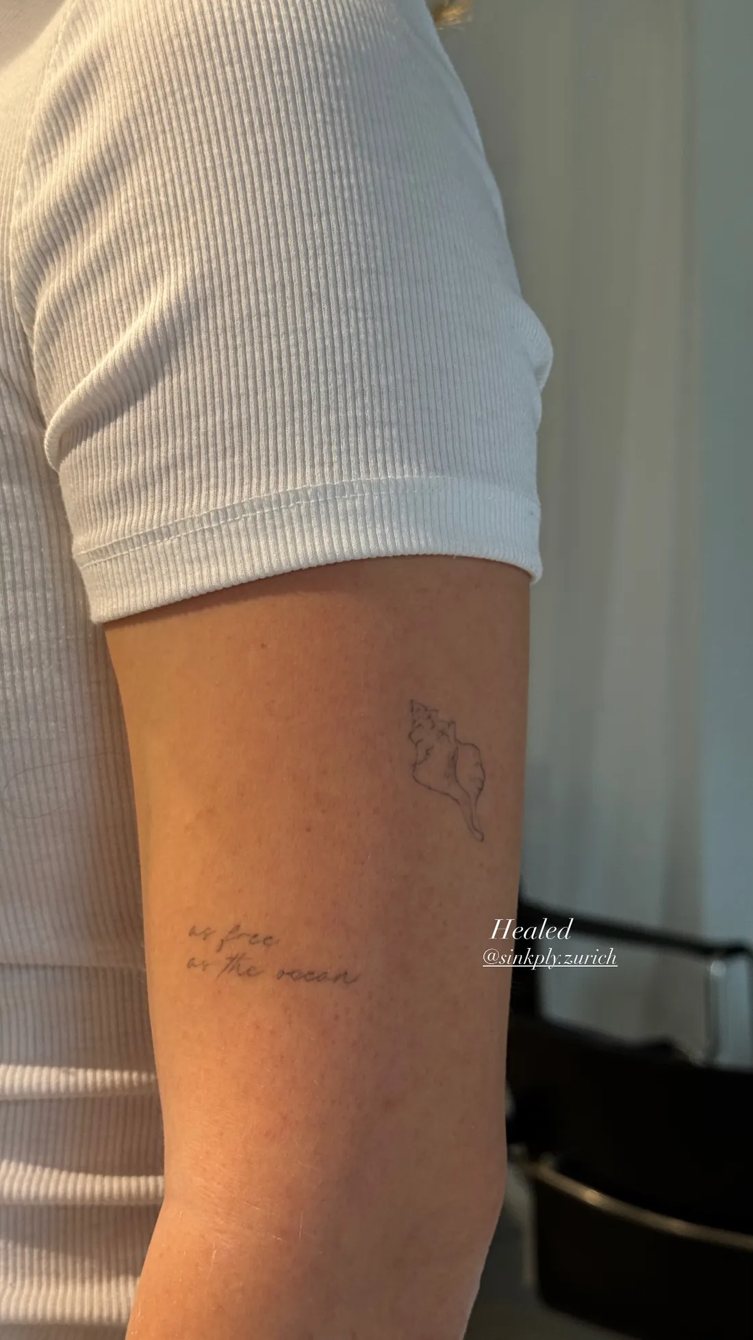 Verheiltes Fine Line Tattoo — Sinkply Zürich
