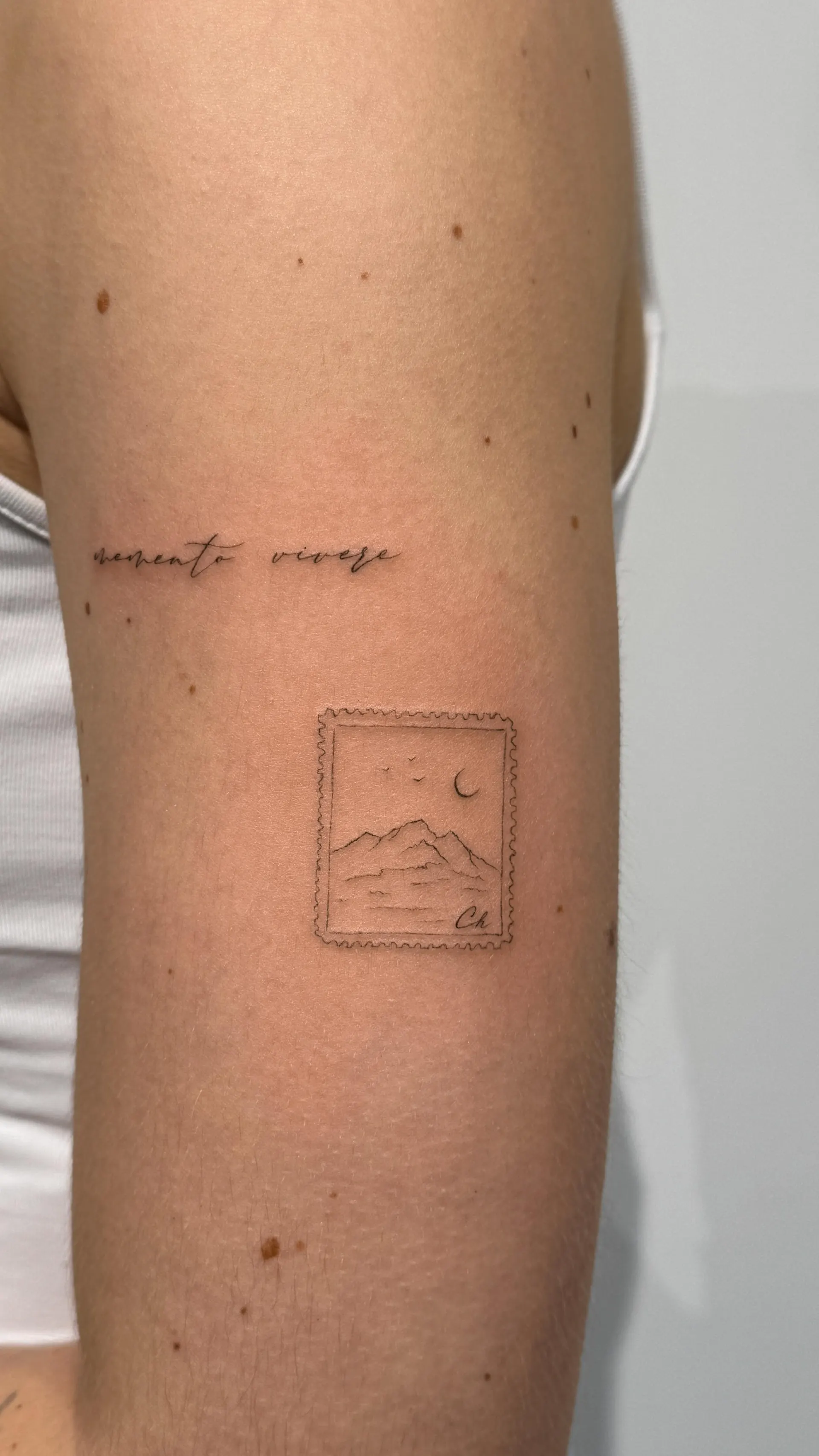 Postage stamp Memento Vivere mountains figurative fine line tattoo