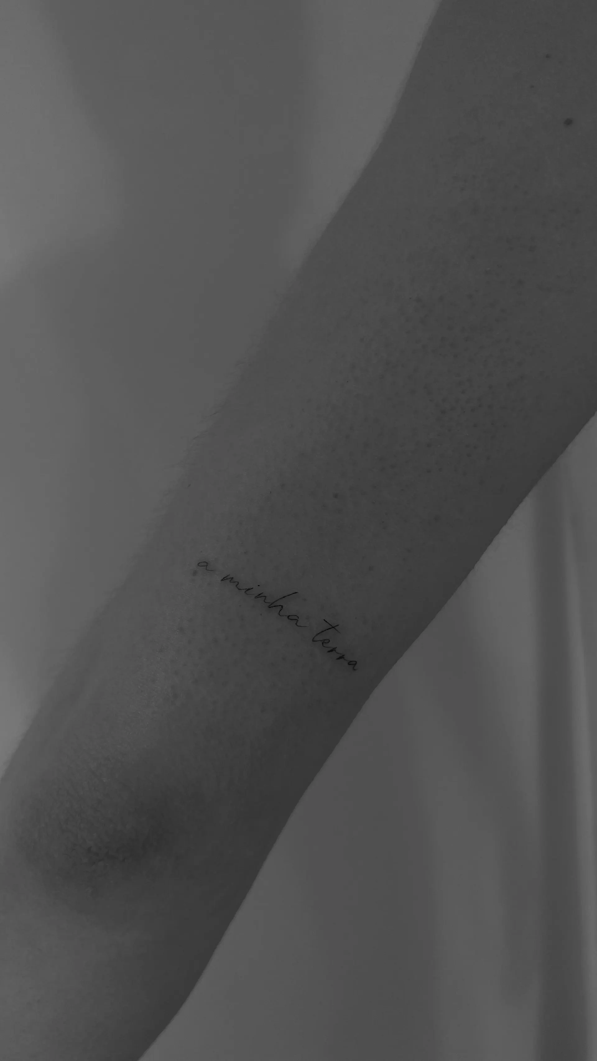 A Minha Terra Lettering Unterarm